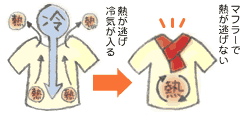 冷え性対策 マフラー