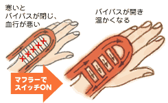 冷え性対策 マフラー