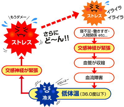寝不足・働きすぎ・人間関係がストレスになって→交感神経が緊張→血管が収縮→血流障害→低体温(36.0度以下)冷えに→交感神経が緊張→さらにストレスが大きくなる/冷え性ドットコム